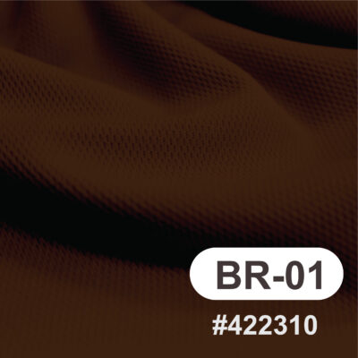 สีผ้า BR-01