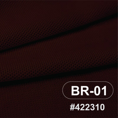 สีผ้า BR-01