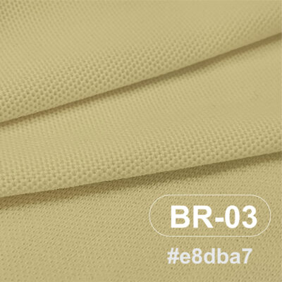 สีผ้า BR-03