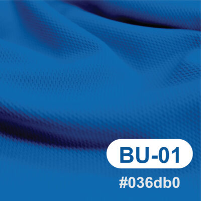สีผ้า BU-01