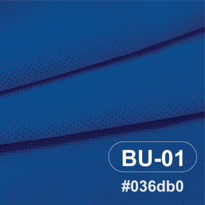 สีผ้า BU-01