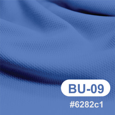 สีผ้า BU-09