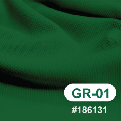 สีผ้า GR-01
