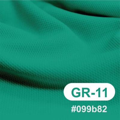 สีผ้า GR-11