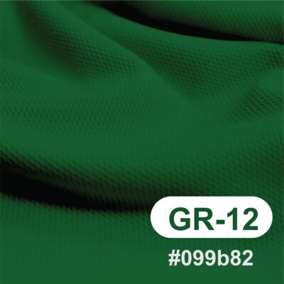สีผ้า GR-12