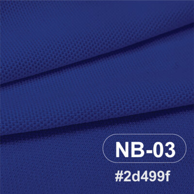 สีผ้า NB-03