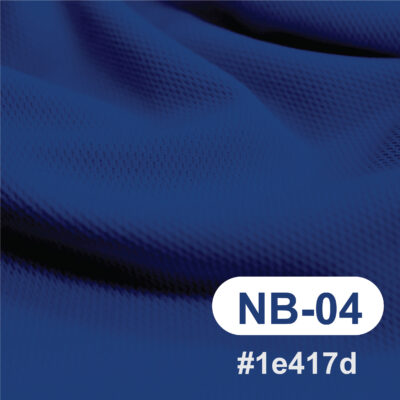 สีผ้า NB-04