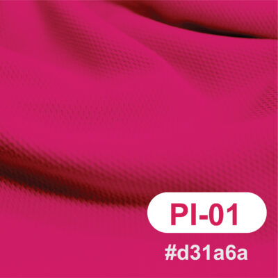 สีผ้า PI-01